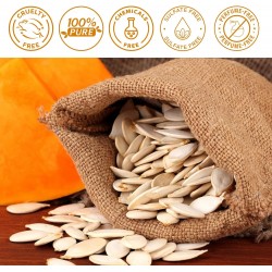 زيت بذور اليقطين للشعر