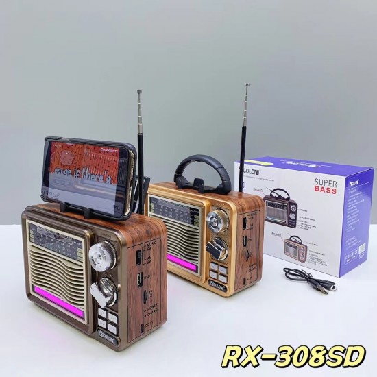 راديو يوجن RX 308