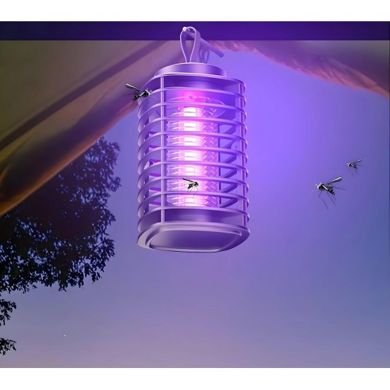 صاعق الناموس الترند