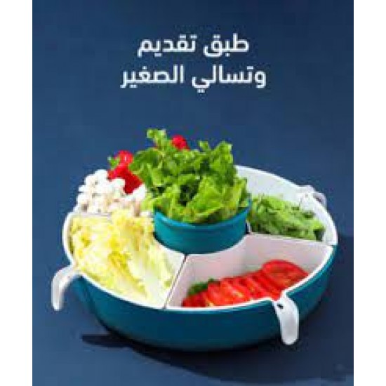 طبق تقديم وتسالي الصغير