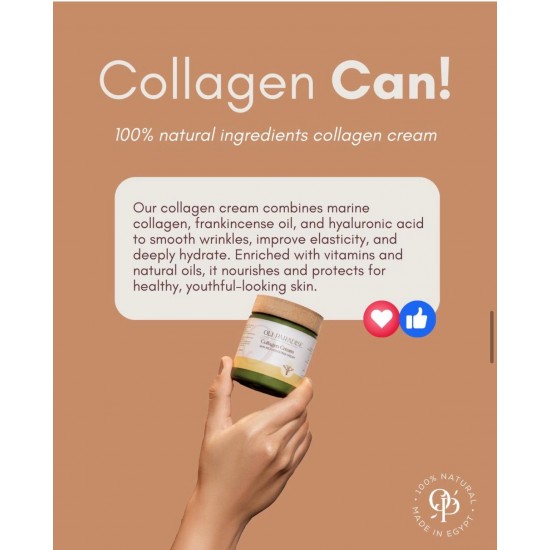 اولي باراديس كولاجين