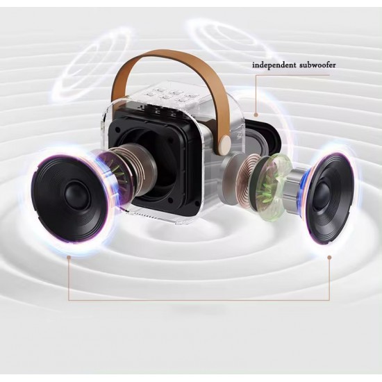 سبيكر ب 2 مايك