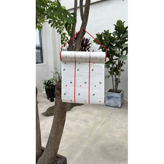 مصيدة الحشرات الامنة