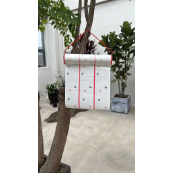 عرض قطعتين مصيدة الحشرات الامنة