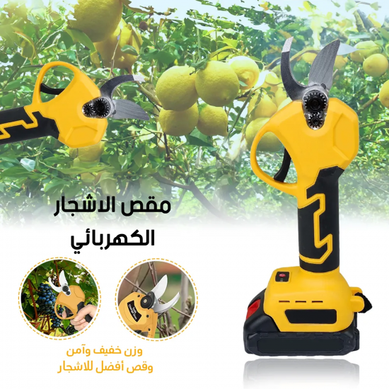 حقيبة يد المدينة