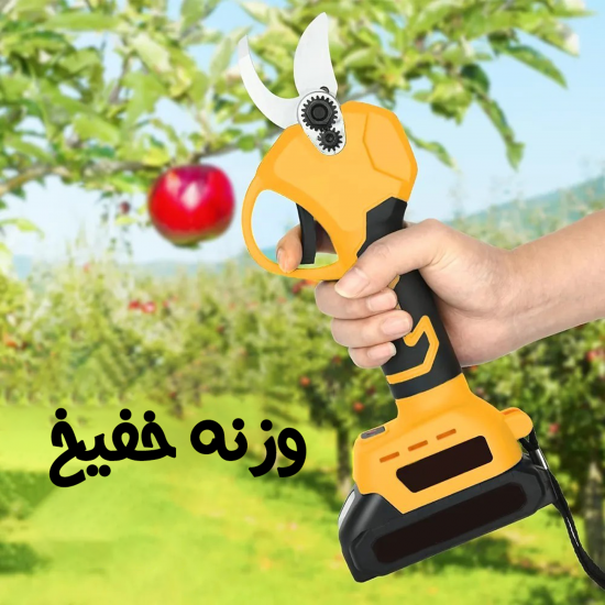 فرك الجسم